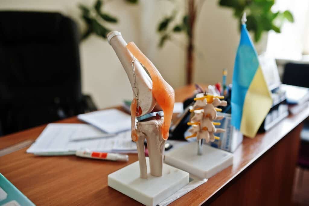 Artificial human knee joint model in medical office on table.