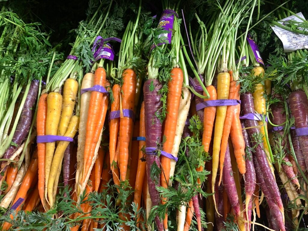 Fresh organic picked carrots at market for sale. Root vegetables for healthy eating