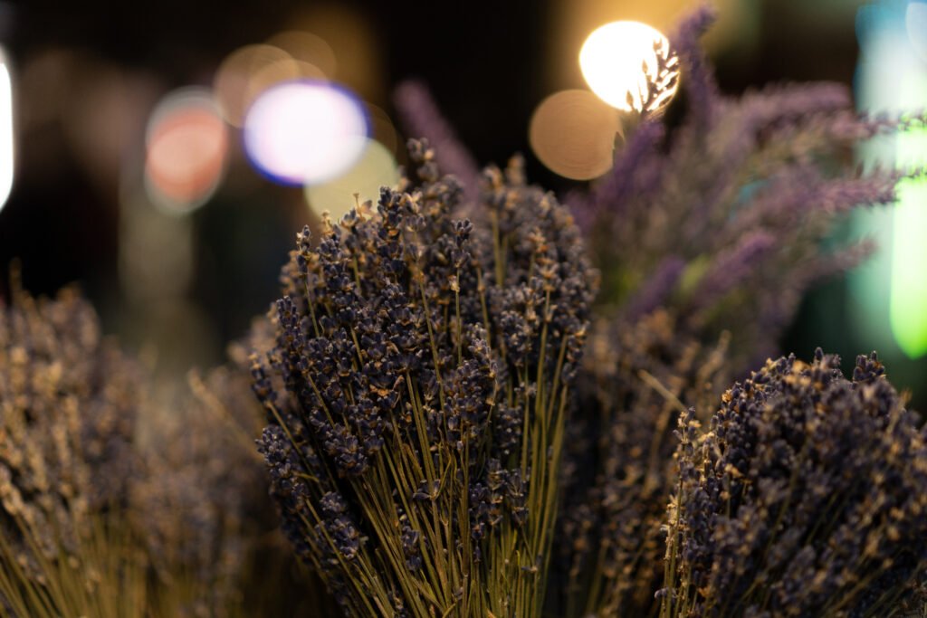 Close up of dried lavender with bokeh lights in the background
