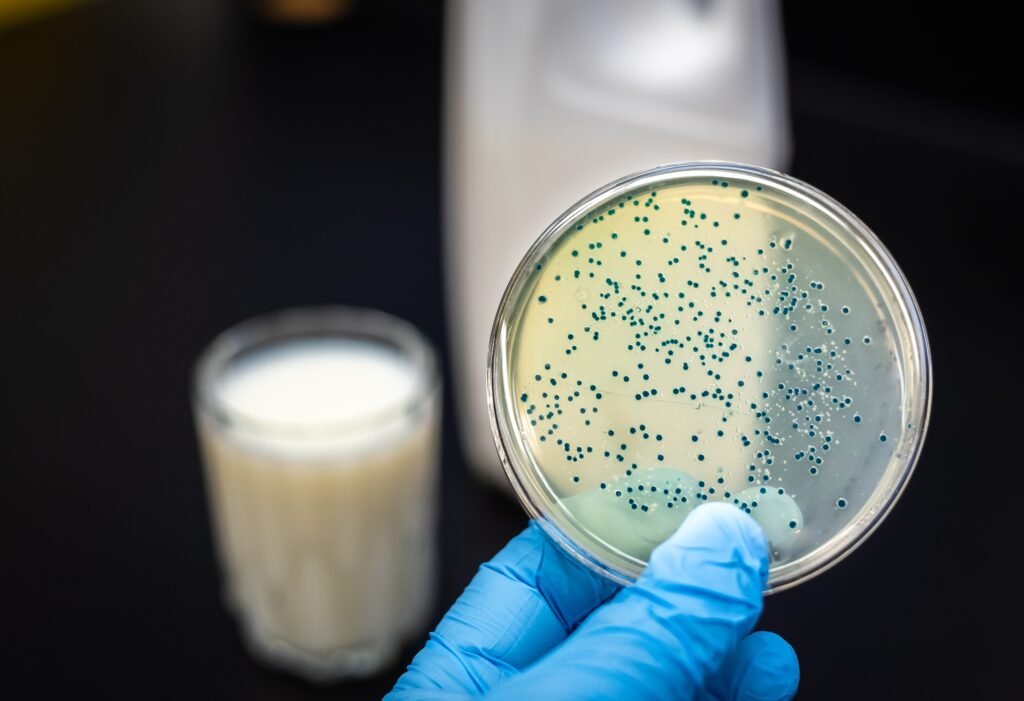 Milk contamination with bacteria